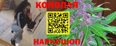 прущие грибы Новозыбков