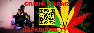 ПСИЛОЦИБИНОВЫЕ ГРИБЫ Новодвинск
