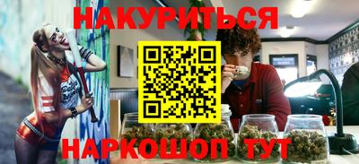 прущие грибы Новозыбков