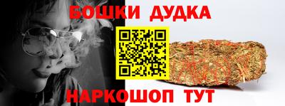прущие грибы Новозыбков