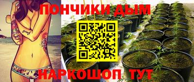 ПСИЛОЦИБИНОВЫЕ ГРИБЫ Новодвинск