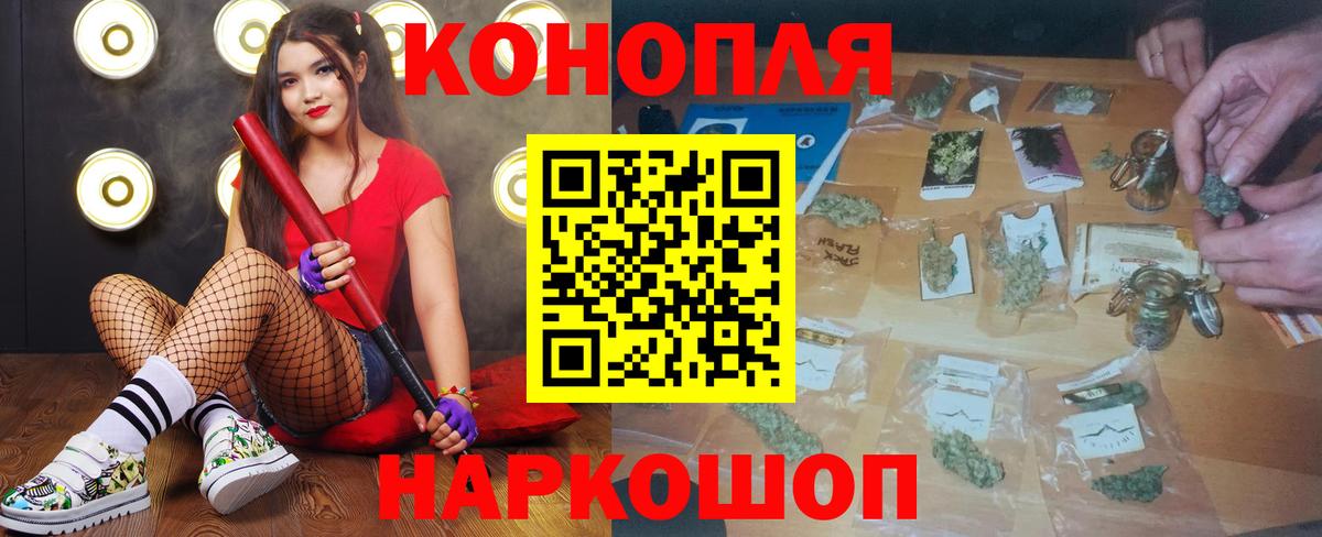 Канабис план Геленджик